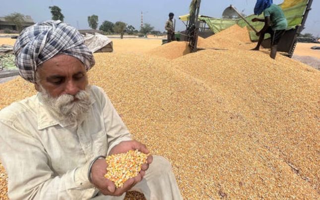 India-US Trade Talks Prioritize Agriculture in Early Discussions | Pure Organic Zone